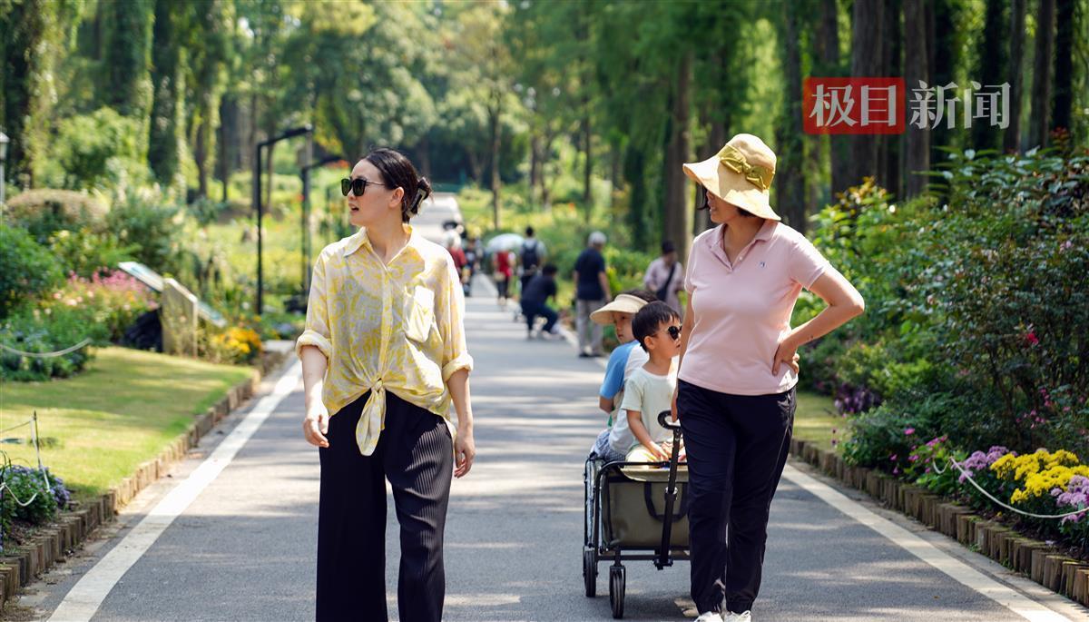 淘金大赢家怎么赢